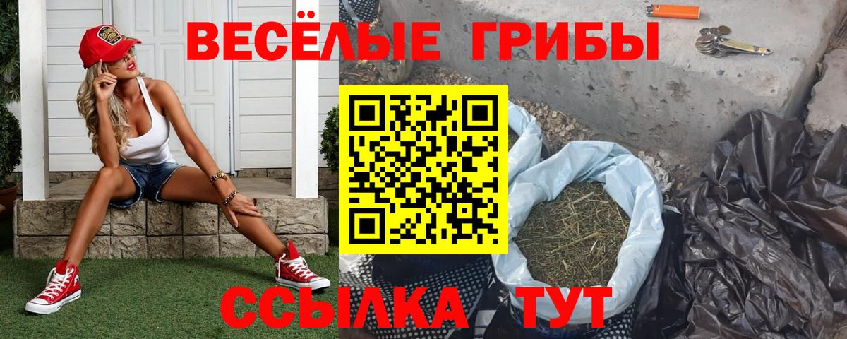 Галлюциногенные грибы прущие грибы Краснотурьинск