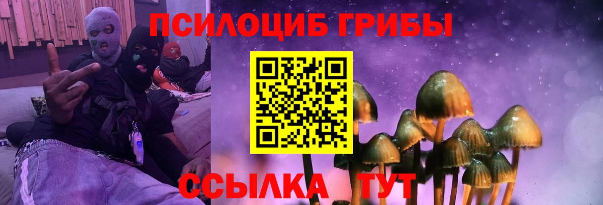 Псилоцибиновые грибы Cubensis  купить наркоту  Краснотурьинск  Вход с VPN 